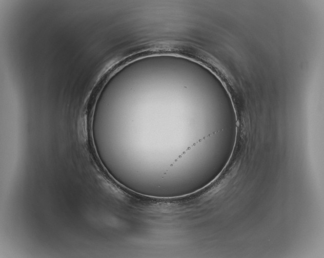 X0000113351075200909221139