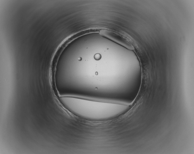 X0000113351076200909221139