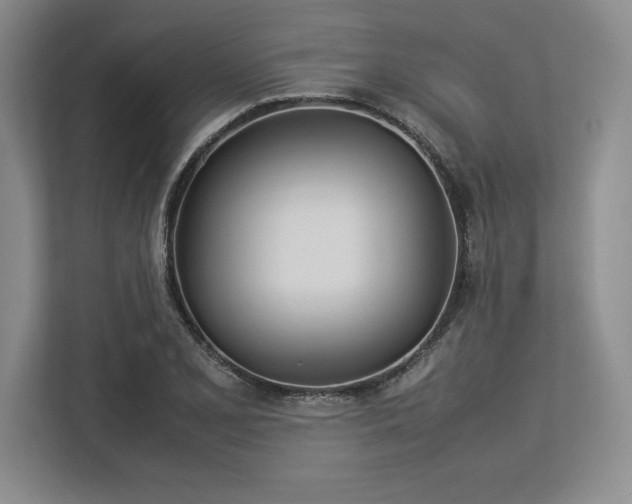X0000113351077200909221139