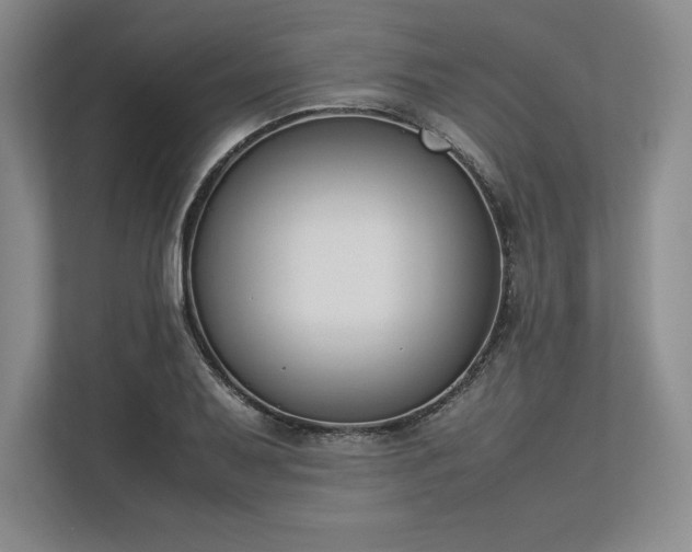X0000113351079200909221139