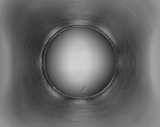 X0000113351082200909221139