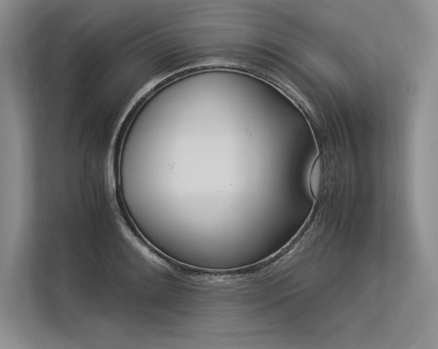 X0000113351084200909221139
