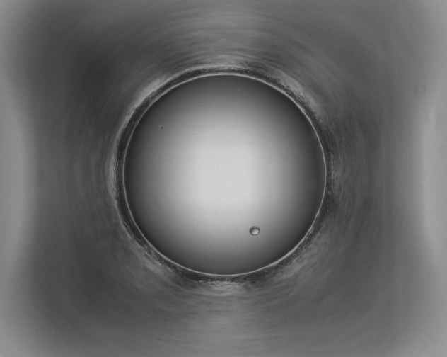 X0000113351085200909221139