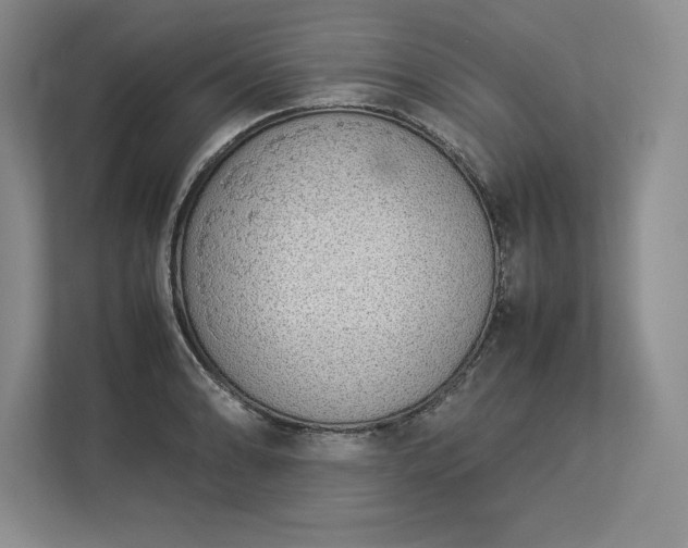 X0000113351086200909221139
