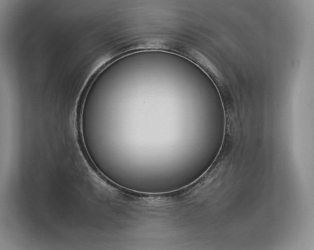 X0000113351087200909221139