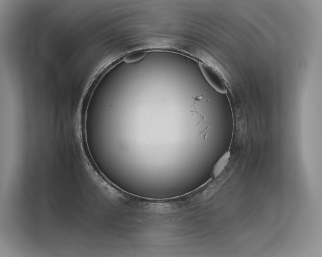 X0000113351088200909221139