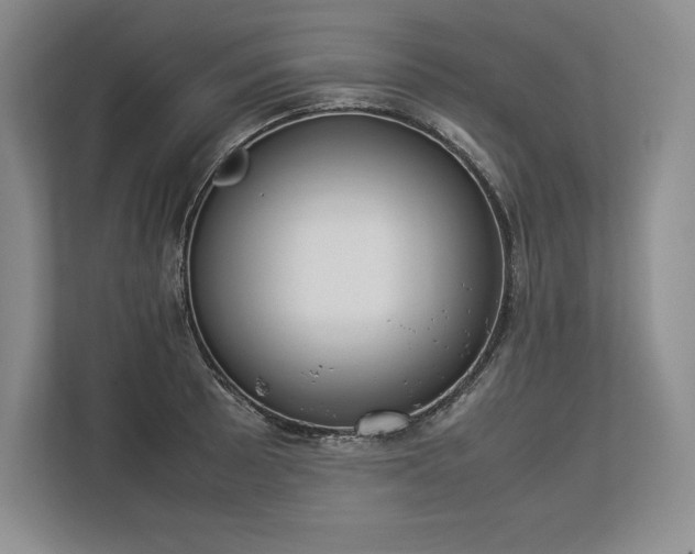 X0000113351089200909221139