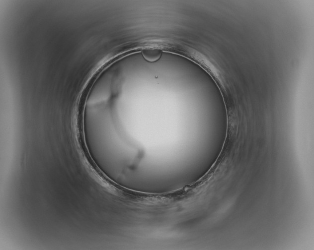 X0000113351091200909221139