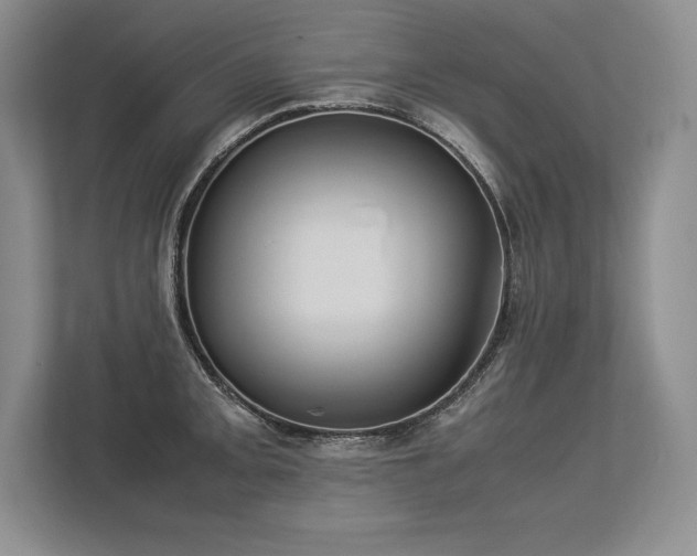 X0000113351093200909221139
