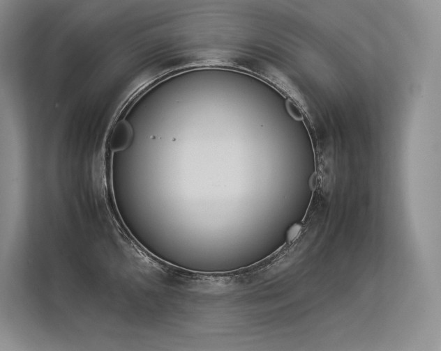 X0000113351096200909221139