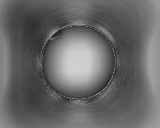 X0000113351097200909221139