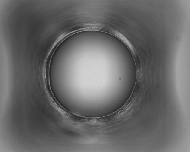X0000113351099200909221139