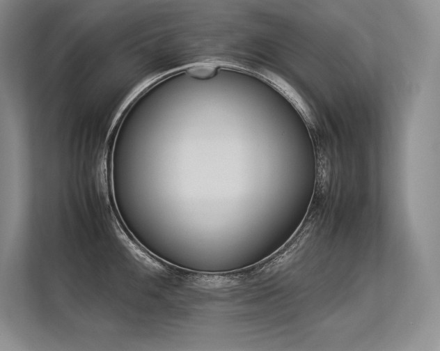 X0000113351100200909221139