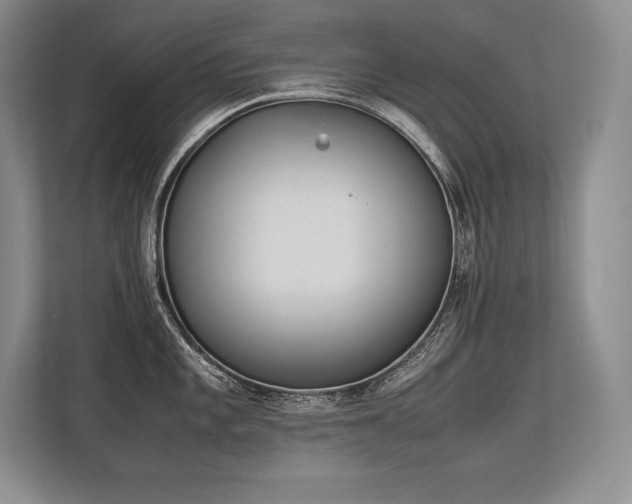 X0000113351101200909221139