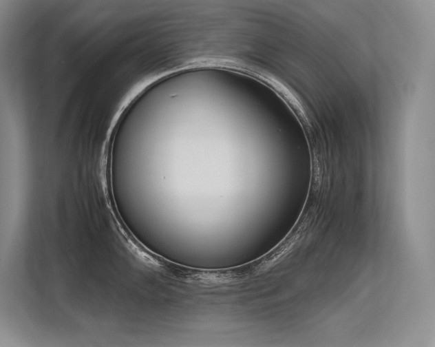 X0000113351102200909221139