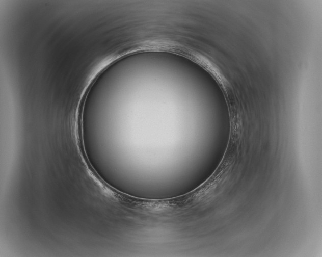 X0000113351103200909221139