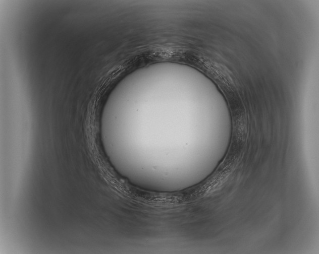 X0000113351105200909221138