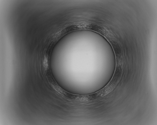 X0000113351106200909221138