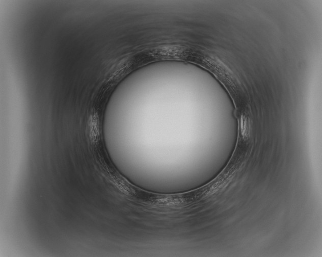 X0000113351107200909221138