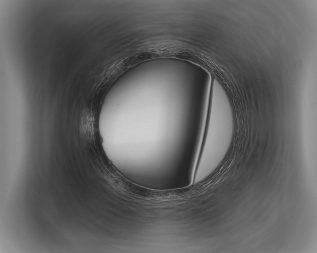 X0000113351108200909221138