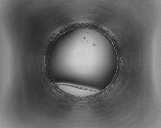 X0000113351110200909221138