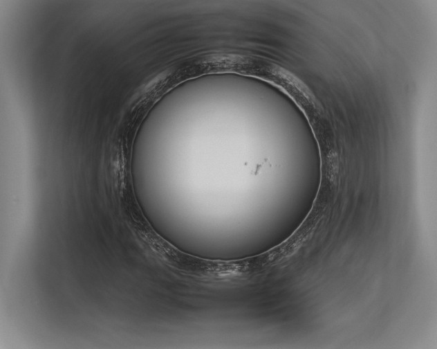 X0000113351111200909221138