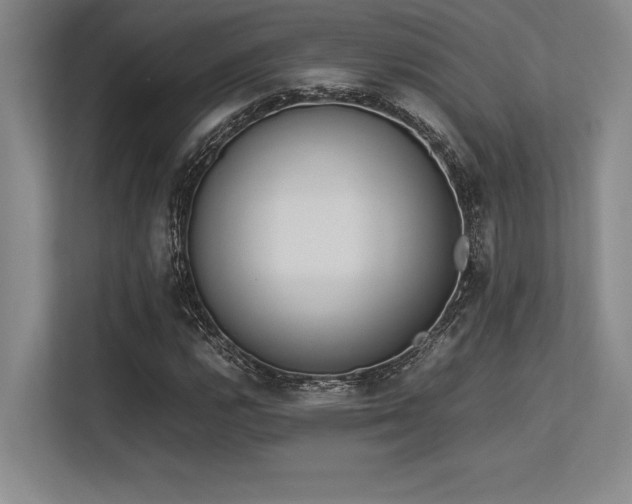 X0000113351112200909221138