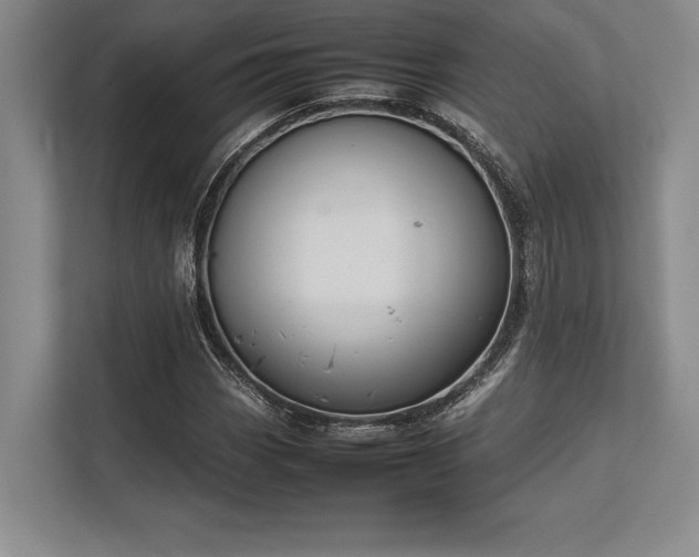 X0000113351113200909221138