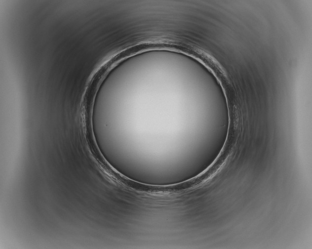 X0000113351114200909221138