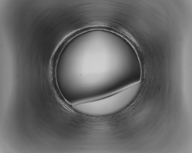 X0000113351116200909221138