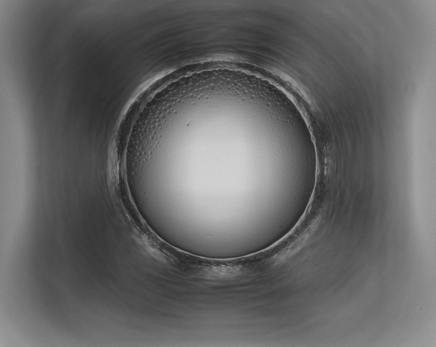 X0000113351117200909221138