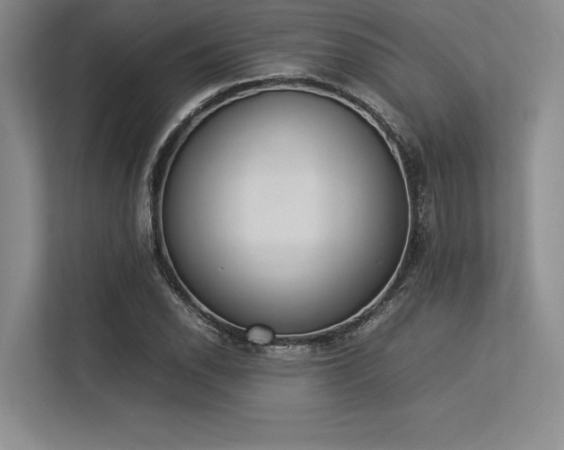 X0000113351118200909221138