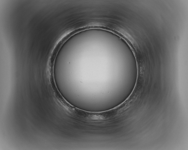 X0000113351119200909221138