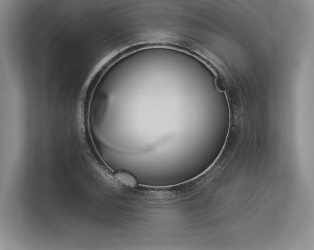 X0000113351120200909221138