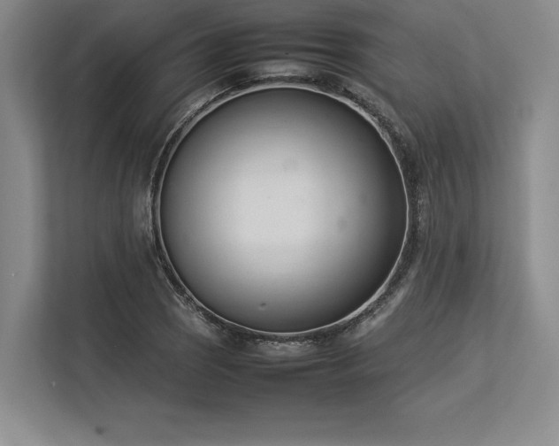 X0000113351121200909221138