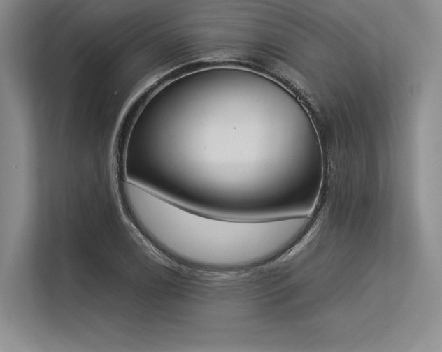 X0000113351122200909221138