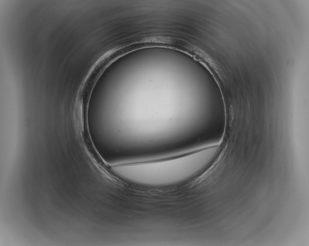 X0000113351123200909221138
