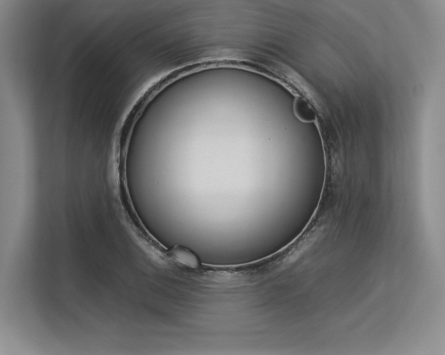 X0000113351124200909221138