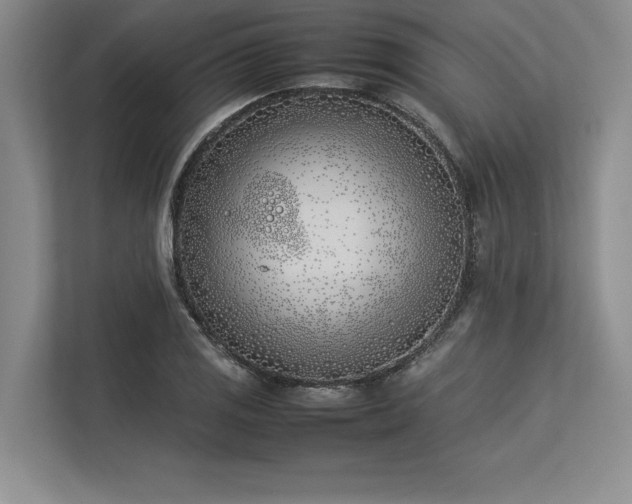 X0000113351125200909221138