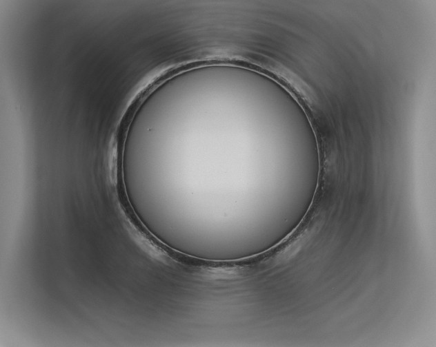 X0000113351126200909221138