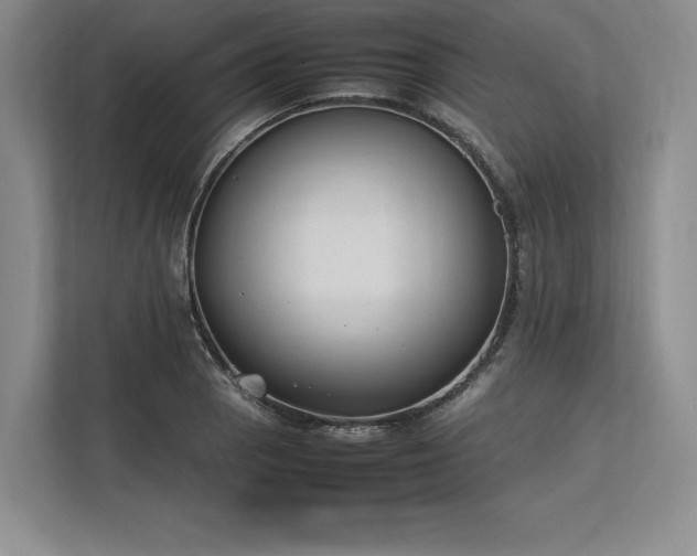 X0000113351129200909221138