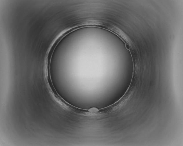 X0000113351132200909221138