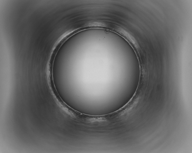 X0000113351133200909221138
