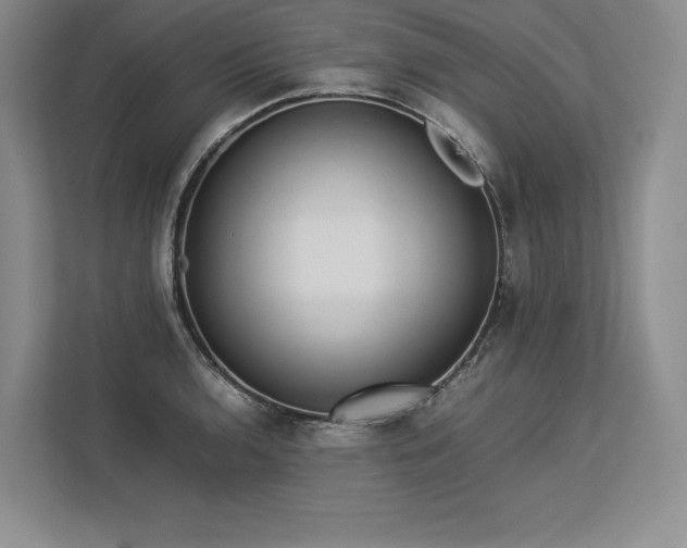 X0000113351136200909221138