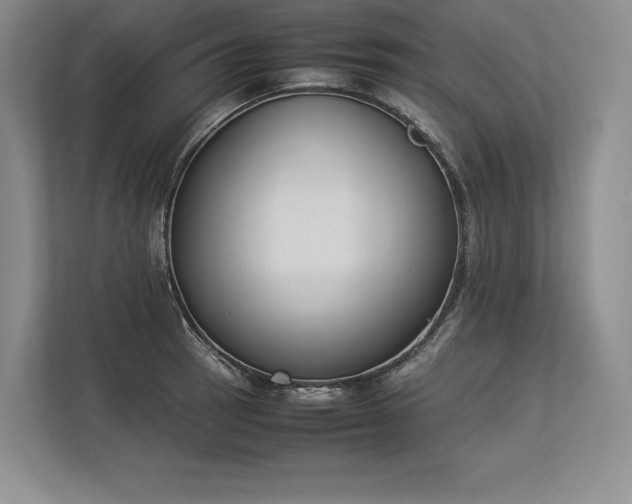 X0000113351137200909221138
