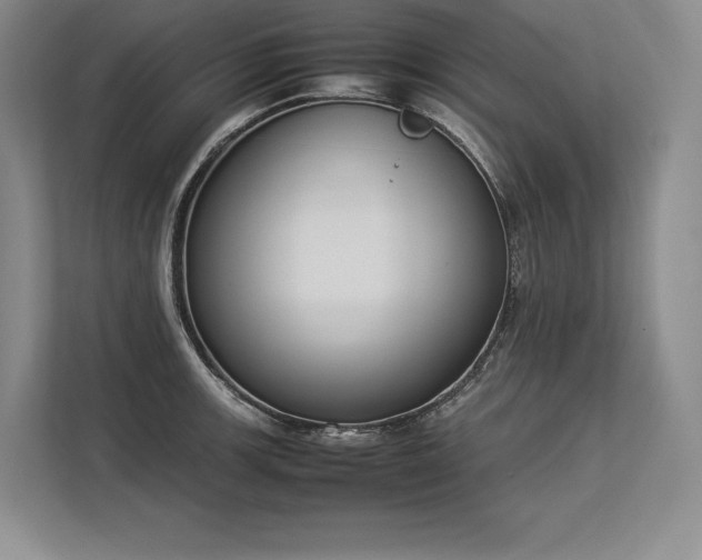 X0000113351139200909221138
