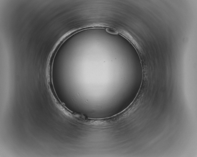 X0000113351140200909221138