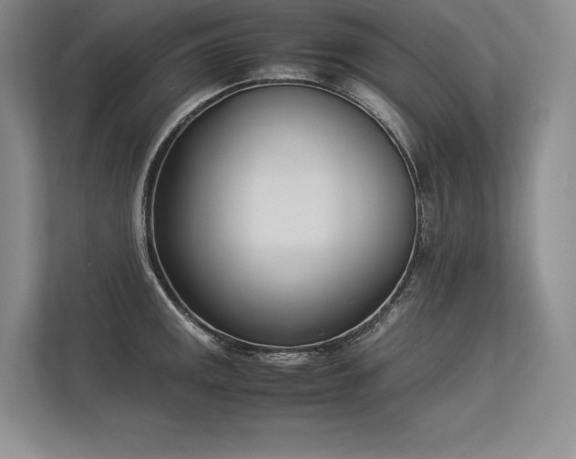 X0000113351141200909221138