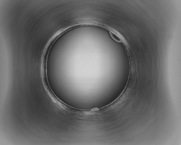 X0000113351144200909221138
