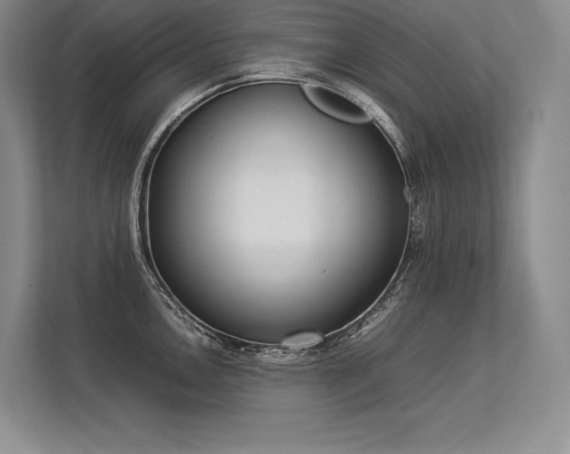 X0000113351146200909221138